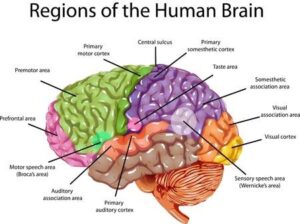 DYSLEXIA AND IRLEN SYNDROME - Dyslexia & Irlen Syndrome - Irlen Diagnostic Clinic