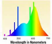 Why is fluorescent lighting so discomforting for people with Irlen Syndrome?